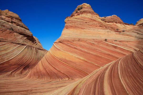 Comment lutter contre l’érosion dentaire (perte d’émail) ? Comment lutter contre l’érosion dentaire (perte d’émail) ?