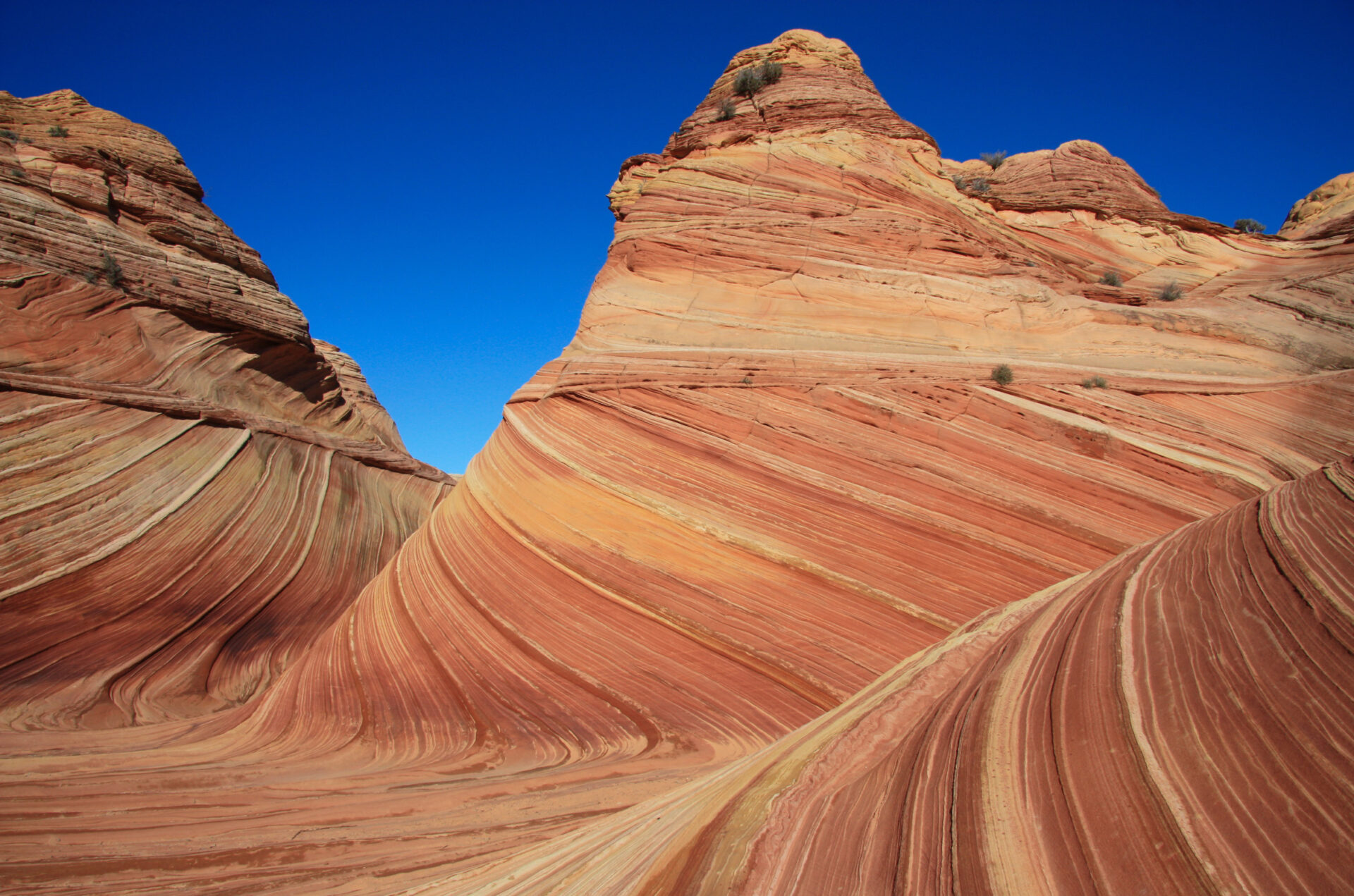 Comment lutter contre l’érosion dentaire (perte d’émail) ?